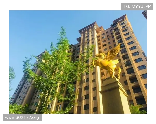 探索k8凯发娱乐凯发体育的多元娱乐与体育世界